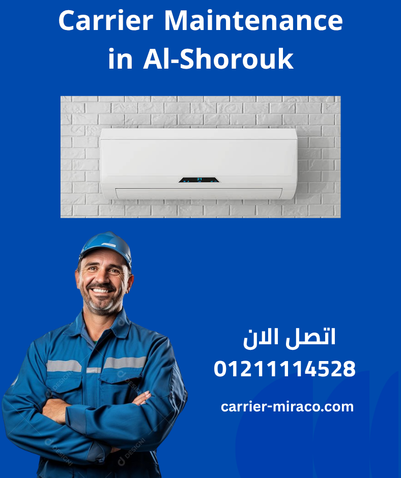 Carrier Maintenance in Al-Shorouk