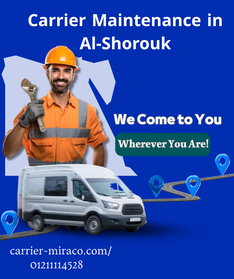 Why do you need regular Carrier El Shorouk maintenance?