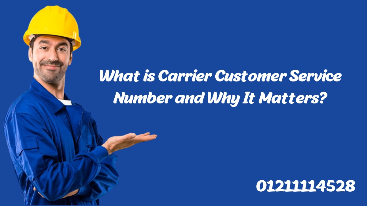 What is Carrier Customer Service Number and Why It Matters?