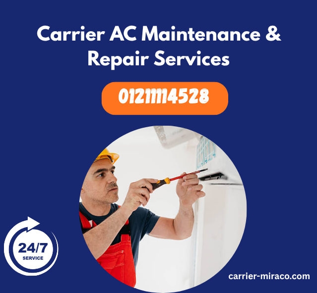 Carrier AC Maintenance & Repair Services