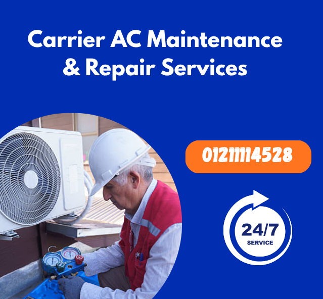 Carrier AC Maintenance & Repair Services